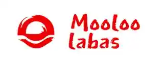 mooloolabas.com